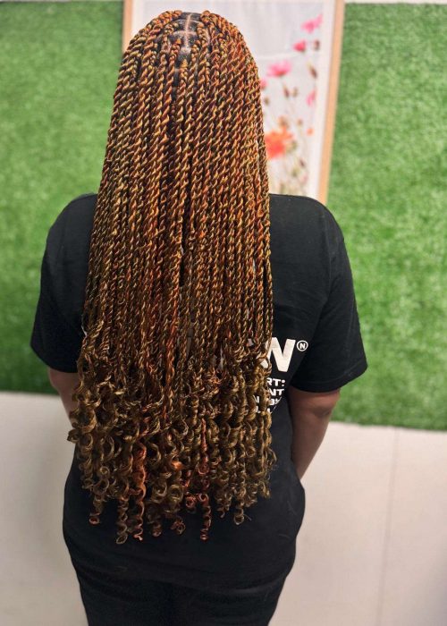 braids1