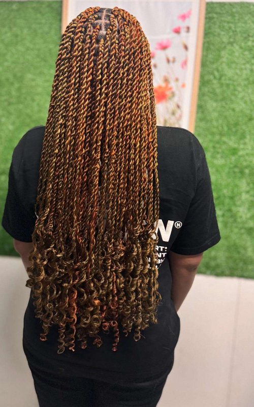 braids1