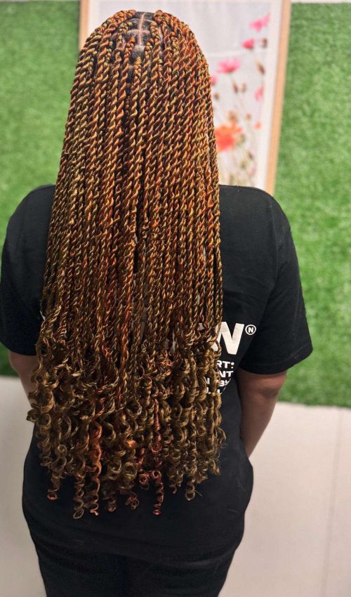braids1